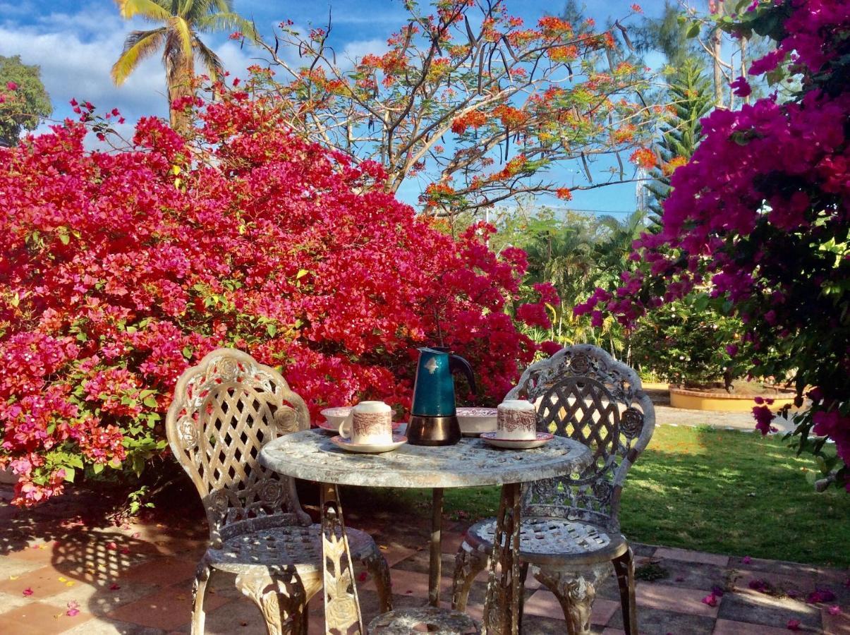 Cafegourmetptacorona San Carlos Buitenkant foto